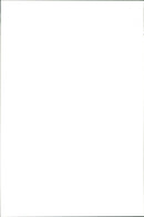 Pernilla Wiberg together with Isolde Kostner and Katja Seizinger. - Vintage Photograph