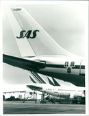 S.A.S. - Vintage Photograph