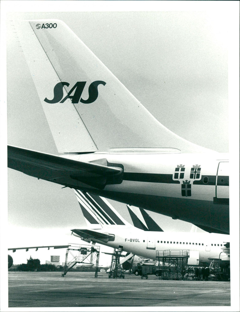 S.A.S. - Vintage Photograph