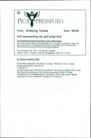 1999 SAMI MLAR TROGED TRAVELERS SIGNATURE DRIVER SWEDEN ENGLAND - Vintage Photograph