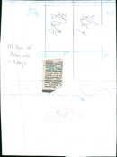 David and Elizabeth Emanuel designer of Princess Diana's wedding dress. - Vintage Photograph