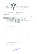 American Football - American Football When counting - Vintage Photograph