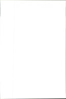 American Football - Denver Broncos vs. Atlanta Falcons - Vintage Photograph