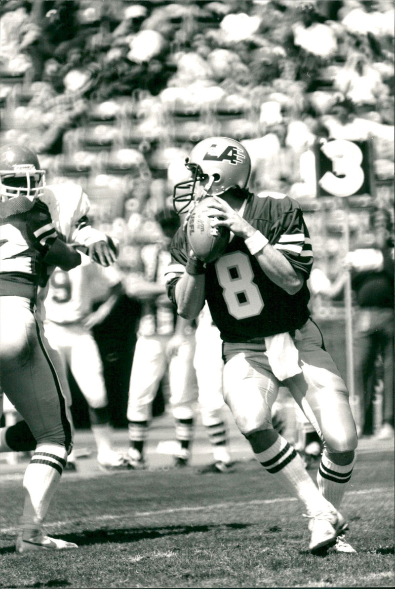 American Football -  Steve Young, "quaterback" of the Los Angeles - Vintage Photograph