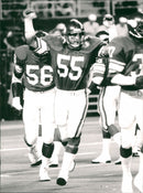 American football Scott Studwell, Minnesota Vikings. - Vintage Photograph