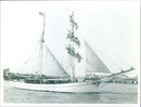 Tall Ships Race - Vintage Photograph
