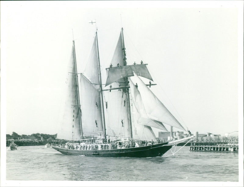Tall Ships Race - The Malcolm Miller boat - Vintage Photograph