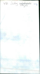 Conservative Party politician Judith Chaplin - Vintage Photograph