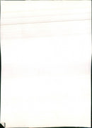 ACTRESS ROYAL WELL CONCERT FESTIVAL - Vintage Photograph