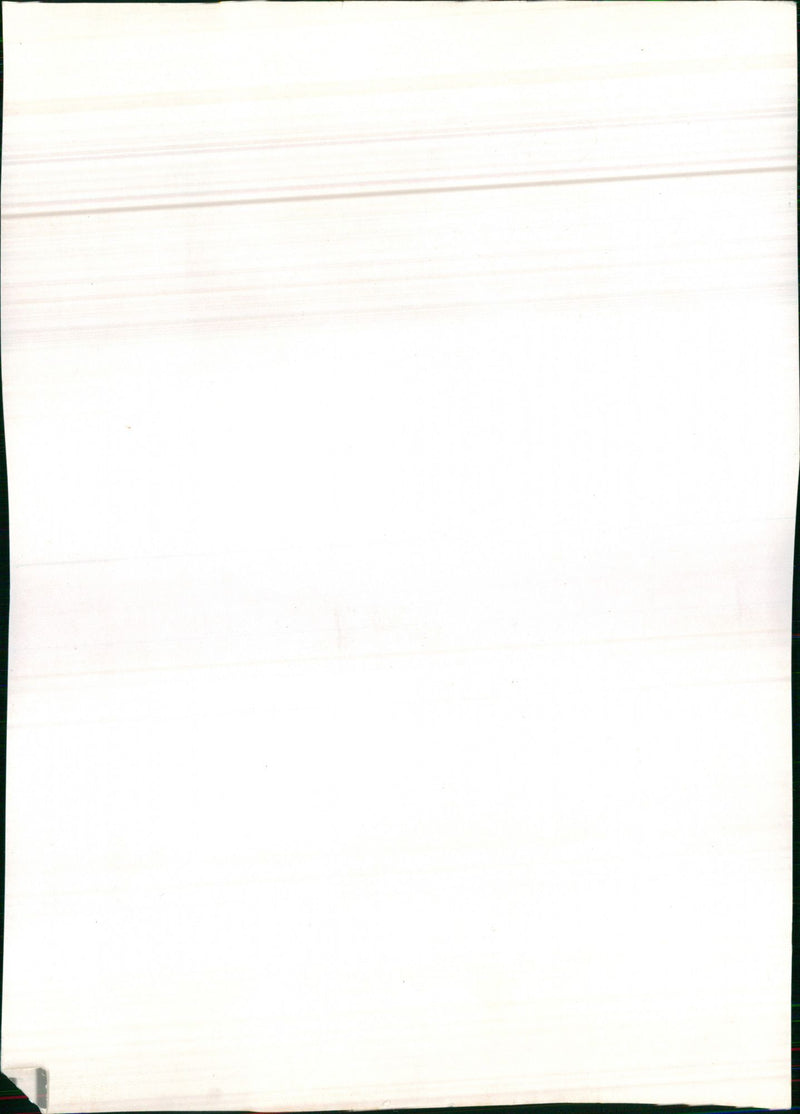 ACTRESS ROYAL WELL CONCERT FESTIVAL - Vintage Photograph