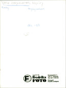 VOLVO SPRINGS SEMIELLIPTIC EXTRA LONG SOFT REAR SPRINGS BAND ENGINE - Vintage Photograph