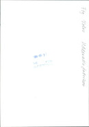 FTG UDDEVALLA VOLVO PHOTO SUIS FABRILIA WED - Vintage Photograph