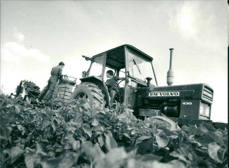 Company: Volvo BM AB - Vintage Photograph