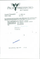 SALE DESK ANIMALS DALUM IMAGE DALE ACTION - Vintage Photograph