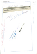 ANIMALS SQUARE INCHES AND SWEDISH RPM WEEKEND ENGLISH DAIBLADED SUZUKI - Vintage Photograph