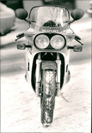 ANIMALS SQUARE INCHES AND SWEDISH RPM WEEKEND ENGLISH DAIBLADED SUZUKI - Vintage Photograph