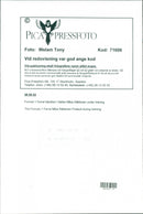 BIST OMPUT ASSOCH WARS EINER HAKKINEN EPA SECOND FERRARI PRESS BRITAIN ITALY - Vintage Photograph