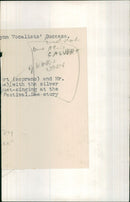 MUSIC FESTIVAL - Vintage Photograph