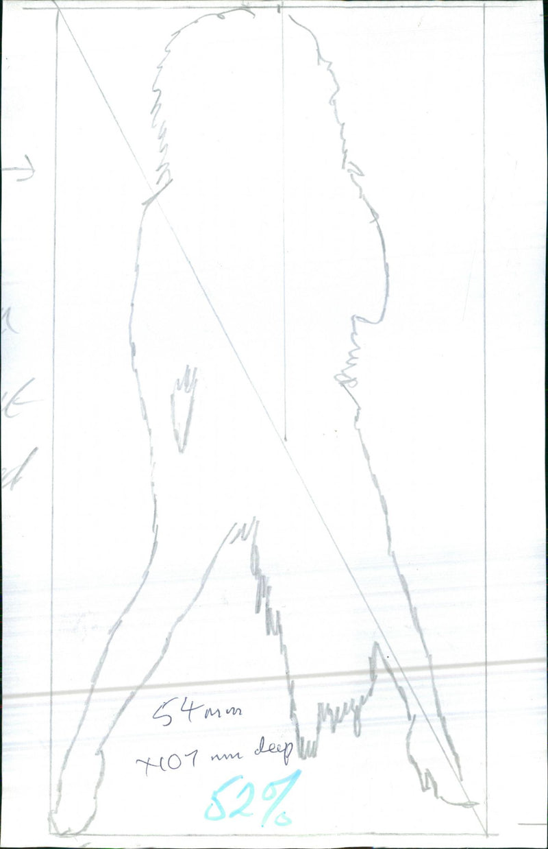 Ceri Dupree as Tina Turner - Vintage Photograph