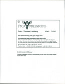 EAGE GUAM CULOISE PARAMALATE DAVID SWEDEN FERRARI CHAMPION - Vintage Photograph