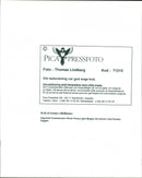 EAGE GUAM CULOISE PARAMALATE DAVID SWEDEN FERRARI CHAMPION - Vintage Photograph