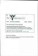 MADELI MAGNE GRAN PREMIO DIT SECOND ITALIAN FERRARI FRENCH - Vintage Photograph