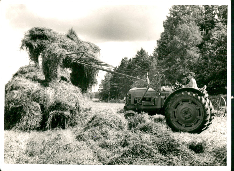 Life in the Countryside - Vintage Photograph