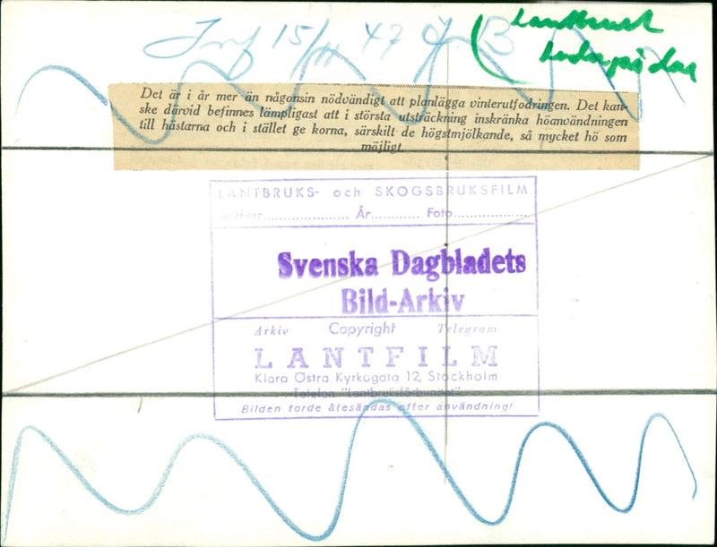 Life in the Countryside - Vintage Photograph