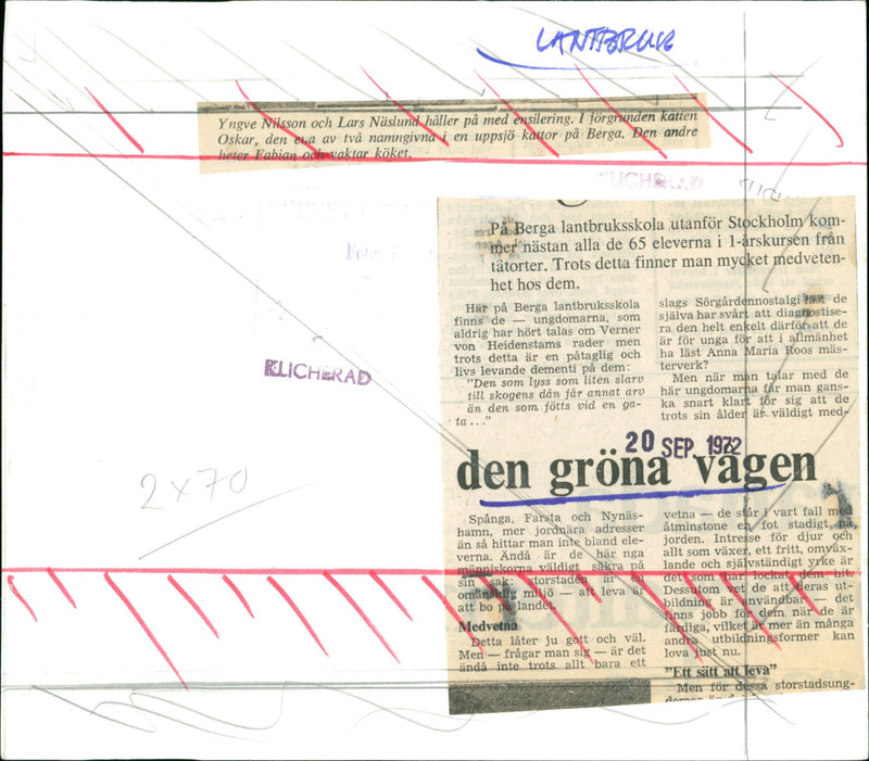 Country Life - Vintage Photograph