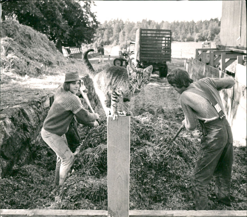 Country Life - Vintage Photograph