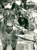 BNENJANIMALS DAILED ENGLISH - Vintage Photograph