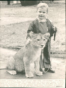 1970 BUT JOHN GRIM ANIMALS INSTALL DIGHETER JOAN ENGLAND - Vintage Photograph