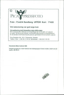 1996 LANDSCAPE ARLA NMJOLK SWEDEN RESPONS FESTIVAL - Vintage Photograph