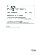 1996 LANDSCAPE ARLA NMJOLK TELEPHONE SWEDEN FESTIVAL - Vintage Photograph