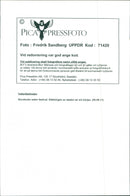 1996 LANDSCAPE ARLA NMJOLK TELEPHONE SWEDEN FESTIVAL - Vintage Photograph