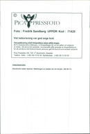 1996 LANDSCAPE ARLA NMJOLK SWEDEN RESPONS FESTIVAL - Vintage Photograph