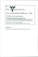 1996 LANDSCAPE ARLA NMJOLK SWEDEN RESPONS FESTIVAL - Vintage Photograph