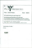 1996 LANDSCAPE ARLA NMJOLK TELEPHONE SWEDEN RESPO - Vintage Photograph