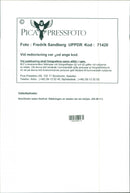 1996 LANDSCAPE ARLA NMJOLK SWEDEN RESPONS FESTIVAL - Vintage Photograph