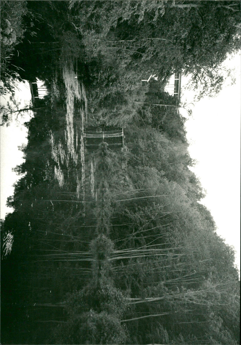 GrÃ¤skÃ¶ - Vintage Photograph