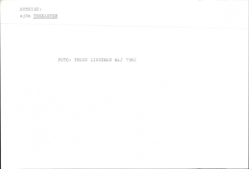 Sweden Trekanten lake - Vintage Photograph