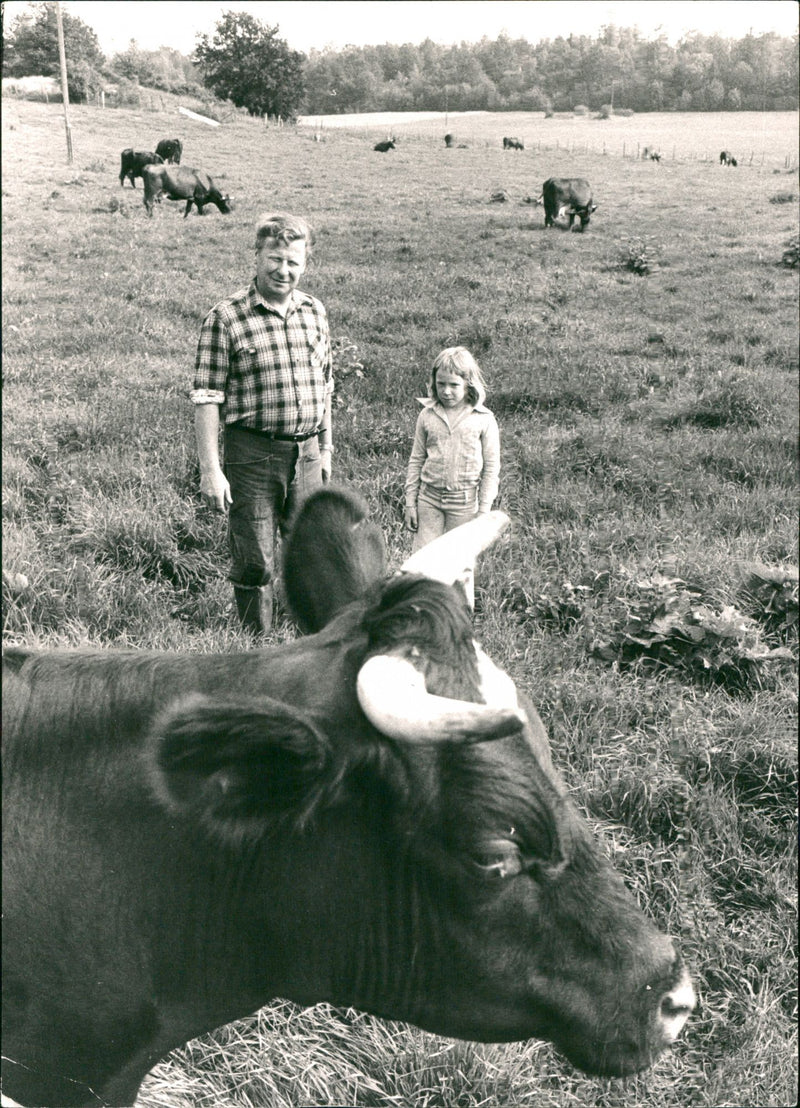 Life in the countryside - Vintage Photograph