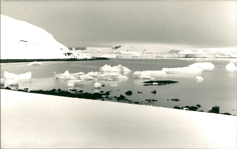 Foreign views Antarctica - Vintage Photograph