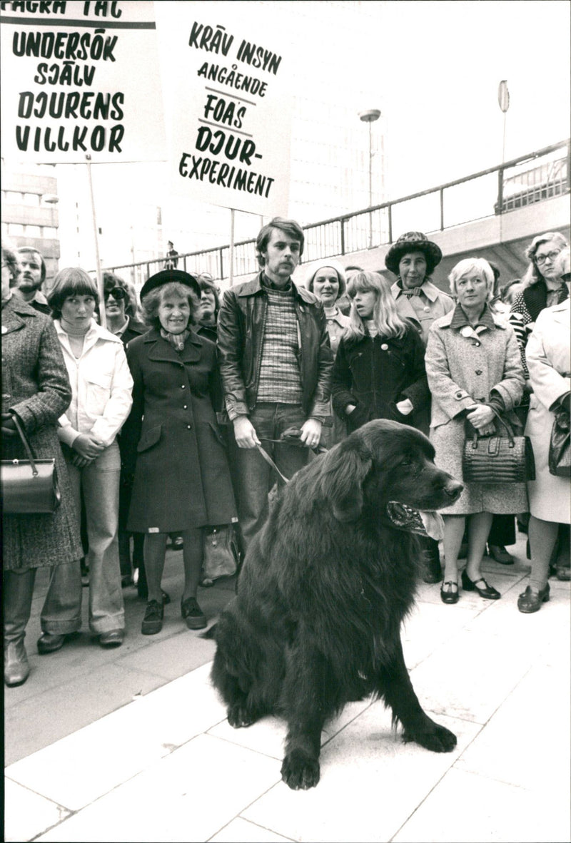 Demonstrations against animal experiments - Vintage Photograph