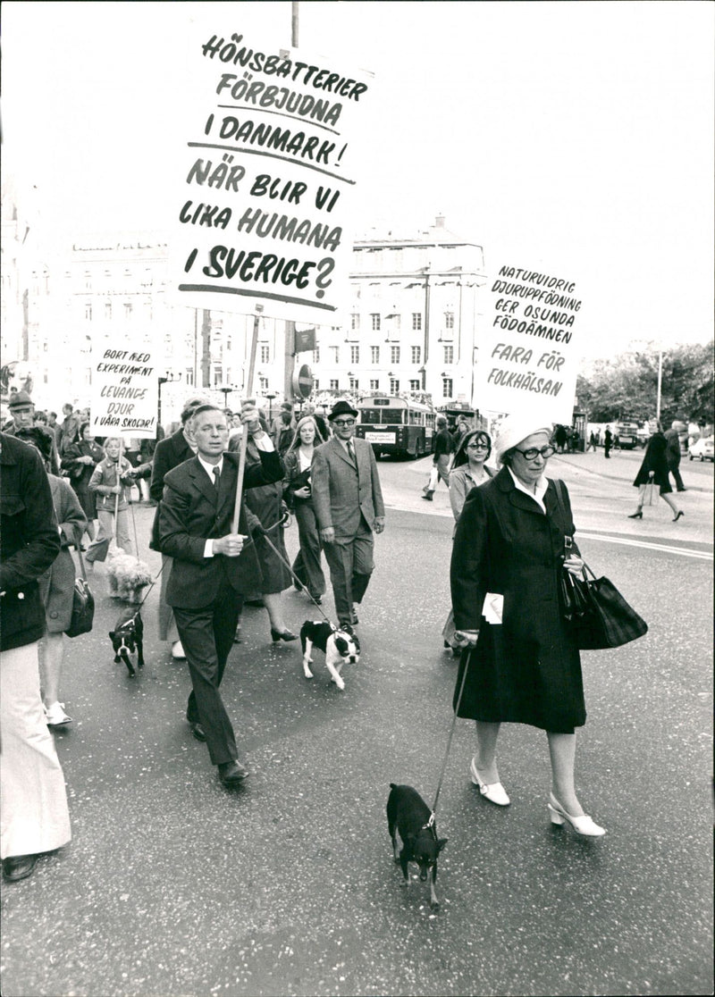 Demonstration against Animal Experiments - Vintage Photograph