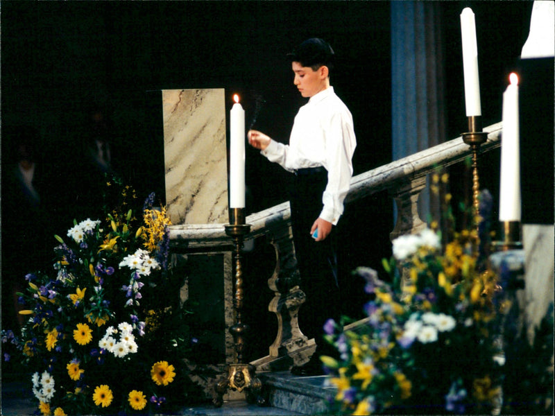 OTHER PICA DESK TOWNHOUSE NATURE LEN SWEDEN PRESS PETER - Vintage Photograph