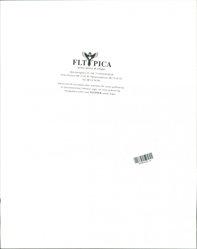 Cadillac Cars - Vintage Photograph