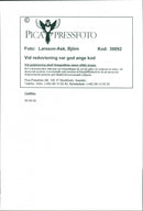 Cadillac Cars - Vintage Photograph