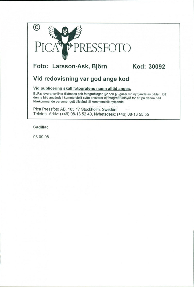 Cadillac Cars - Vintage Photograph