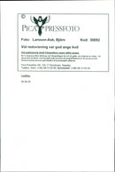 Cadillac Cars - Vintage Photograph